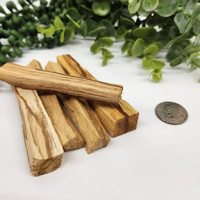 Palo Santo Sticks